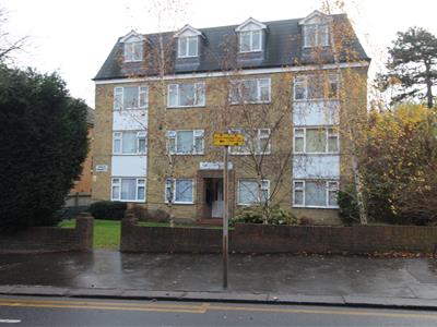 Picture 6